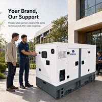 Groupe électrogène diesel Isuzu 20 kW, type silencieux, alimentation de secours d'urgence pour les petites entreprises