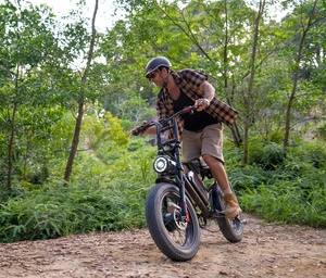Le vélo électrique le plus branché et le <span class=keywords><strong>meilleur</strong></span> entrepôt de l'UE Dropshipping New S8 1000W Mountain Bike 20 Inch Tire 250W Ebike Electric Bike - Product Image 3