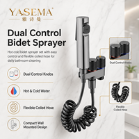 Ensemble de pulvérisateur de bidet moderne ABS, douchette de toilette portative avec tuyau en spirale pour appartement et hôtel, installation facile, direct usine