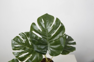 Venta al por mayor Monstera <span class=keywords><strong>plantas</strong></span> tamaño pequeño Artificial arbustos <span class=keywords><strong>plantas</strong></span> en macetas <span class=keywords><strong>plantas</strong></span> <span class=keywords><strong>artificiales</strong></span> casa estante de escritorio decoración de la Mesa - Product Image 3