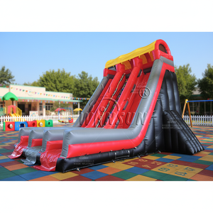 Tobogán Inflable de PVC WINSUN con Soplador para Jardín de Niños, Uso Comercial en Exteriores - Product Image 1