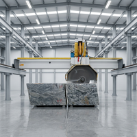 TY Own Quarry LangTaoSha Shandong Granit Gris Bloc Brut Taillé et Poli Écologique Solution Complète Moderne pour Carrelage de Villa et Parc