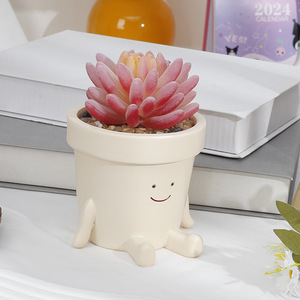 สวิงหน้าชาวไร่หม้อแขวนเรซิ่นดอกไม้หัวชาวไร่สําหรับในร่มกลางแจ้งพืชกระถางฉ่ําสําหรับสตริงมุกพืช - Product Image 5