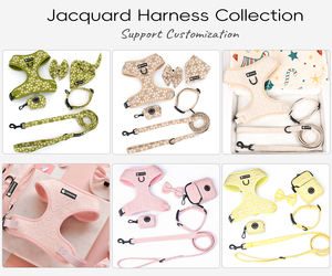 Arnés para Perro con Diseño de Corazón y Flor, Correa para Mascotas, Collar y Arnés para Perro, Accesorios para Perros 2024 - Product Image 2