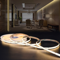 Ultra Bright Dot-free 320LEDs/m 2700K-6500K CRI90+ 24V Dapat Disesuaikan IP68 Tahan Air 8mm COB LED Strip Dekorasi Malam Anak Luar Ruangan