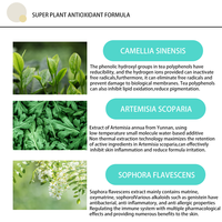Gel douche nettoyant pour les pores en profondeur aux extraits naturels de plantes hydratant et équilibré huile d'eau pour la peau propriétés anti-oxydantes