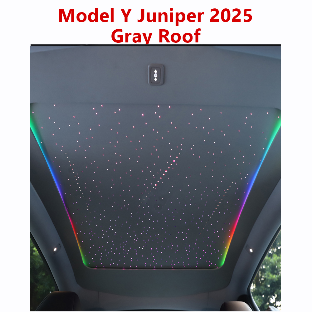 Y Juniper 2025 -Gris