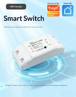 Disjoncteur intelligent Tuya exclusif transfrontalier 10A 250V, interrupteur WiFi avec minuterie à distance via application mobile, commande vocale Alexa, IP20