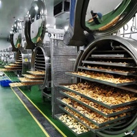 Fruit- en groentedroogmachine, machine voor gepofte appelschijfjes, vacuümdroogmachine, vriesdroogproductielijn