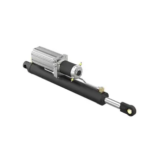 Fabrieksaanpassing Dc 24V 800W Elektrische Hydraulische Actuator Tweeweg Elektrische Hydraulische Cilinder Voor Vorkhefplatform