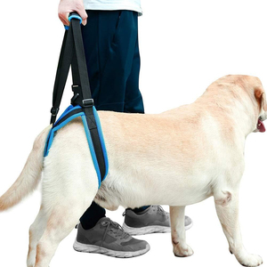 Harnais de soutien pour chiens âgés ou handicapés, pour les pattes arrière et les hanches, aide à la marche et à la levée des animaux de compagnie, pour blessures articulaires - Product Image 1