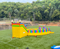 Toboganes de Agua Inflables Baratos de Alibaba, Toboganes de Agua Inflables, Tobogán Inflable para Piscina