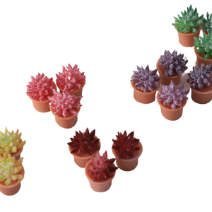 Cactus artificial en maceta, colorido y lindo, simulación de planta verde, decoración de micropaisaje, hecho a mano. - Product Image 2
