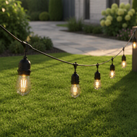 Ampoule LED S14 220V IP65 étanche, guirlande lumineuse connectable pour mariage, fête, patio, jardin, extérieur