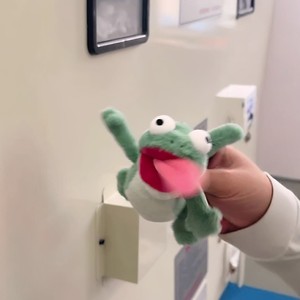 แผนการแปลงร่าง: ตุ๊กตาจิ้งจกสีเขียวเสียงร้องได้ ลิ้นยื่นออกมา ของตกแต่งรูปแมวแม่เหล็ก ของขวัญสำหรับแฟนสาว - Product Image 1