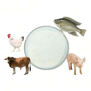 โรงงานผลิตผงคอลลาเจนจากขยะสัตว์ในโรงฆ่าสัตว์ - Product Image 6