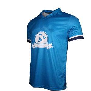 <span class=keywords><strong>Rugby</strong></span> personalizado de alta calidad para Polos Unisex Sudáfrica Jerseys Servicio OEM para hombres para Polos - Product Image 4