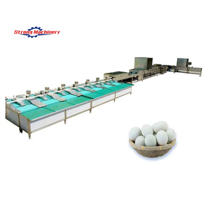 Machine professionnelle de pesage de trieuse d'oeufs de niveleuse de ligne de processus de classification d'oeufs entièrement automatique - Product Image 1