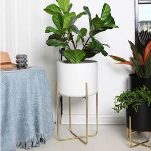 Support de <span class=keywords><strong>plante</strong></span> en or, décoration d'intérieur moderne, style mid-century, support de présentation, étagère en <span class=keywords><strong>fer</strong></span> forgé, pot de fleurs d'intérieur, support de <span class=keywords><strong>plante</strong></span> en métal - Product Image 5