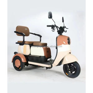 Scooters eléctricos YINGWU Oem Odm, bicicletas de <span class=keywords><strong>tres</strong></span> <span class=keywords><strong>ruedas</strong></span> de carga eléctrica de <span class=keywords><strong>tres</strong></span> <span class=keywords><strong>ruedas</strong></span>, bicicletas plegables de <span class=keywords><strong>tres</strong></span> <span class=keywords><strong>ruedas</strong></span> - Product Image 2