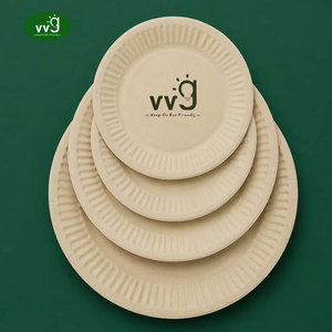 Assiettes en papier de pulpe de bambou VVG, jetables, biodégradables, écologiques, <span class=keywords><strong>prix</strong></span> d'usine pour les fêtes, les barbecues, les pique-niques, la restauration - Product Image 1