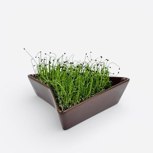 Kit de démarrage moderne pour herbe à chat d'intérieur avec plateaux de culture en céramique réutilisables de haute qualité et jardinière suspendue pour <span class=keywords><strong>chats</strong></span> - Product Image 1
