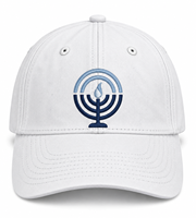 Casquette de baseball personnalisée en gros à 6 panneaux, motif léopard à carreaux bleus et blancs, réglable avec fermeture snapback, style Dad Hat unisexe, décontractée et sportive
