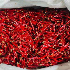 Cabai Merah Kering Pedas Utuh Cabai Merah India Cabai Kering Hancur untuk Kebutuhan Pengolahan Makanan Siap untuk Semua Spesifikasi - Product Image 5