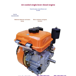 Mesin Diesel Green Forest Source Silinder Tunggal 212cc Starter Elektrik Berpendingin Udara 4-Tak Recoil 4.5kW Euro 1 186fa 188f 195f - Product Image 6