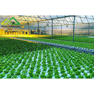 Sistema Hidropónico Avanzado de Gran Escala con Estructura de Acero Galvanizado por Inmersión en Caliente, Invernadero Combinado para Plantación, para una Aumento Exponencial de la Rentabilidad - Product Image 3