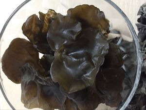 निर्यात अच्छी गुणवत्ता सूखी काले कवक मशरूम - Product Image 6