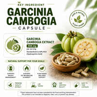 Capsules de Garcinia Cambogia, 60 unités par flacon, OEM ODM, marque privée, exportateur sur mesure, extrait de qualité alimentaire, en vrac