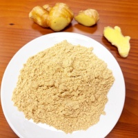 Poudre de gingembre chinois 100 Mesh, épice naturelle pure et saine du Guangxi pour la transformation alimentaire