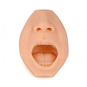 <span class=keywords><strong>แบบ</strong></span><span class=keywords><strong>จ</strong></span>ำลองการสอนทางกา<span class=keywords><strong>ร</strong></span>แพทย์ DARHMMY สำหรับกา<span class=keywords><strong>ร</strong></span>ฝึกปฏิบัติกา<span class=keywords><strong>ร</strong></span>เก็บตั<span class=keywords><strong>ว</strong></span>อย่างทาง<span class=keywords><strong>จ</strong></span>มูกและช่องปาก  กา<span class=keywords><strong>ร</strong></span>ฝึกอบรมการทดสอบก<span class=keywords><strong>ร</strong></span>ดนิวคลีอิก - Product Image 4