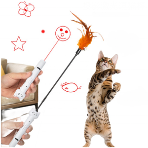 Pabrik Harga terbaik multi-fungsi 5 jenis pola mainan kucing tongkat penggoda bulu lampu Laser kombo - Product Image 3