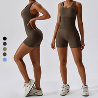 Combinaisons de sport sans couture de haute qualité 2023 pour femmes, vente en gros
