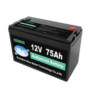 แบตเตอรี่โซเดียมไอออนแบบโซลิดสเตทชนิดชาร์จได้ 12V/48V 200Ah/100Ah พร้อมอายุการใช้งาน 6000 รอบ - Product Image 1