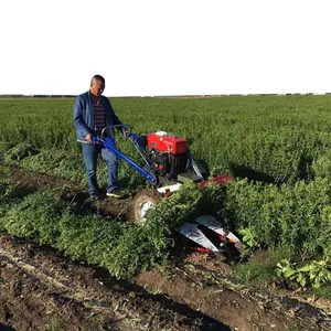 2022 Heißes Produkt Kleine Paddy Mais Weizen Ernte Mais Ernte Farm Maschine Mini Reis Mähdrescher Reaper Binder Maschine