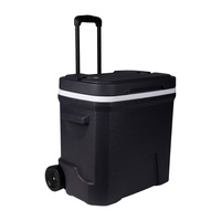 Glacière isotherme à roulettes de 38 L avec poignée télescopique, glacière portable pour le camping et les pique-niques