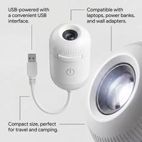 Lampe de projection LED ciel étoilé USB tactile mini tulipe en ABS avec lumière blanc chaud pour intérieur de voiture, maison, chambre, veilleuse