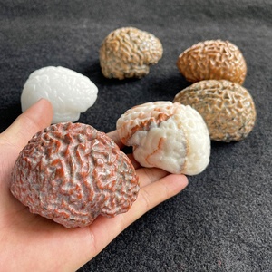 自然な癒しの石クリスタル彫刻工芸品癒しの石の装飾のための刻まれた天然水晶クリスタル脳 - Product Image 1