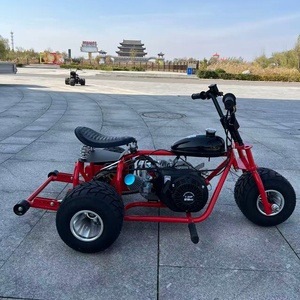 <span class=keywords><strong>Trike</strong></span> de course à 4 temps de 212 cm3, <span class=keywords><strong>moteur</strong></span> de 7,5 CV, vitesse maximale de 60 km/h, kart à trois roues tout-terrain pour adultes - Product Image 1