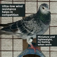 Traceur GPS miniature pour pigeons, 22g, ultra-léger, avec positionnement en temps réel, design arrondi pour oiseaux