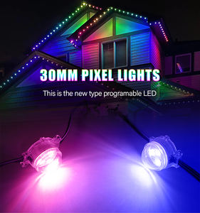 إضاءة بكسل قابلة للعنونة SHIJI UCS2904 IP68 RGBW بحجم 30 مم، مصابيح LED 5050 بجهد 12 فولت، مناسبة للمتنزهات الترفيهية، مؤشر تجسيد الألوان العالي 95، عمر افتراضي 50000 ساعة - Product Image 2