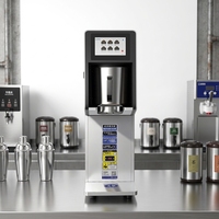 Bouilloire électrique automatique pour thé et jus, nouveau modèle