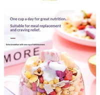 Sereal Instan Manis Tanpa Digoreng, Granola Buah Yogurt Chia Panggang, Oat Crisp, Nutrisi Pagi, Siap Saji, Kemasan Sachet