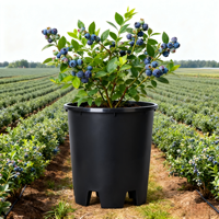 Pot à bleuets en plastique PP de 35 L, durable et écologique, pour la maison et le jardin, multi-usages pour les fruits, les arbustes et les plantes ornementales