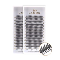 Lashex NOUVEAU 3D Anime Tour Cils Plateaux 0.05 0.07 C CC D Curve Nouvelle Tendance Anime Premade Fan Lashes Anime Elf Eyelash Extensions
