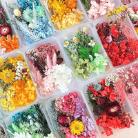 Coffret de Fleurs Séchées Stabilisées pour Art en Résine DIY, Mélange de Fleurs Séchées Naturelles Multicolores en Vrac, Kits de Matériaux