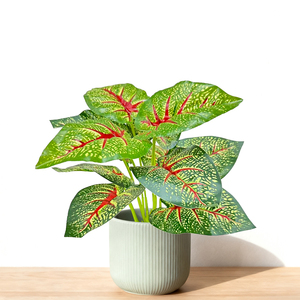Decoración Delicada y Fresca para Escritorio, Planta Verde Artificial, Hada Pequeña, <span class=keywords><strong>Lirio</strong></span> Calla, Planta en Maceta. Decoración Verde para la Oficina - Product Image 6